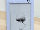 a box with a drawing of a mushroom on it