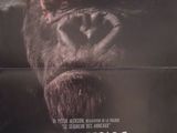 une affiche de cinéma pour « King Kong », avec Kong Kong dans le rôle-titre
