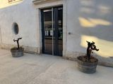 deux jardinières posées sur le trottoir devant un immeuble
