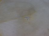 a white plate that has a small diamond on it