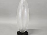 a clear glass vase with a black base on a white background