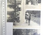 pictures of people riding horses on the road