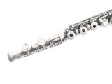 a picture of a flute that is on a white surface