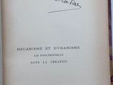 Photo 10/13 du lot