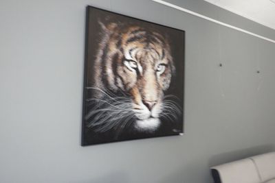une photo d'un tigre accrochée au mur au-dessus d'un canapé
