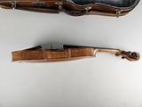 a violin and a violin case on the wall