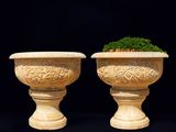 deux grands vases contenant des plantes, sur fond noir