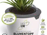 a picture of a plant in a pot with a label on it