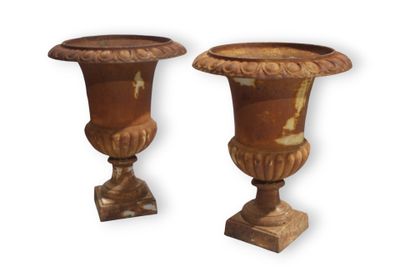 Paire de vases Medicis en fonte de fer H.