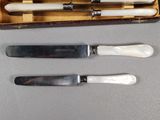 three knives and a knife sharper in a box
