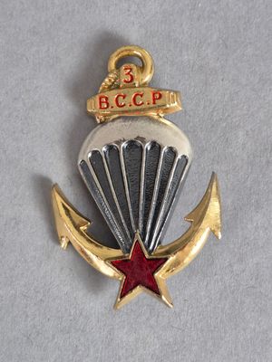 une image représentant un insigne militaire orné d'une étoile rouge