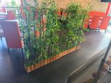 a planter that has a lot of green plants in it