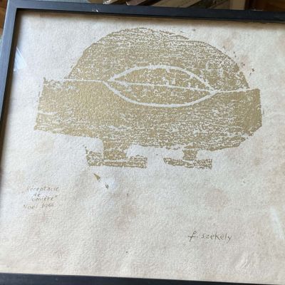 la photo d'une photo représentant une tortue dans un cadre