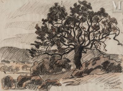 drawing of a tree on a hill with hills in the background