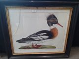 a framed picture of a duck with a feather on it