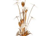 un vase contenant un bouquet de fleurs blanches