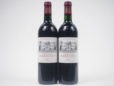 deux bouteilles de vin rouge posées l'une à côté de l'autre sur une surface blanche