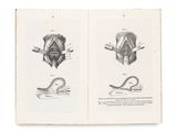 an open book with drawings of a man ' s head and a woman ' s face
