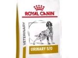 royal canin veterinary urinary s / o dog food