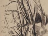 an image of a black and white drawing of a tree by a body of water