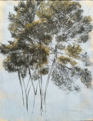 un dessin représentant un groupe d'arbres sur une feuille de papier