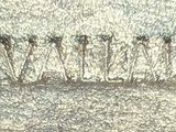 a close up picture of a piece of fabric with writing on it