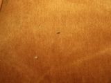 Photo 4/4 du lot