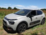 La petite voiture est garée dans un champ d'herbes hautes.