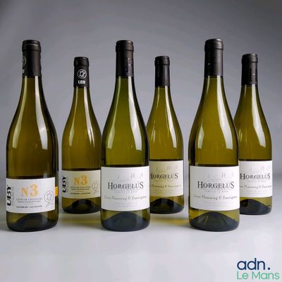 six bouteilles de vin blanc alignées sur une table