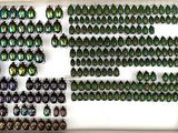 green beetles are displayed in a display case on a white surface