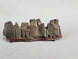 a small piece of driftwood on a wooden stand