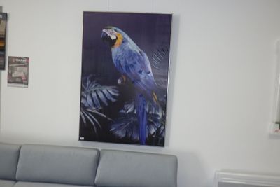 un tableau représentant un perroquet accroché au mur d'un salon