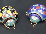 pair of cloisons of cloisons of a ladybug and a ladybug