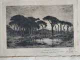 a black and white drawing of trees in a field