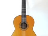 an image of a guitar sitting on a stand against a white background
