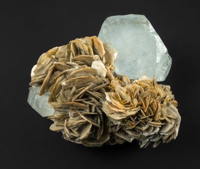 un cristal et un bouquet de fleurs sur une surface noire, avec un fond noir