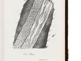 un vieux livre sur lequel est dessiné un morceau de pain