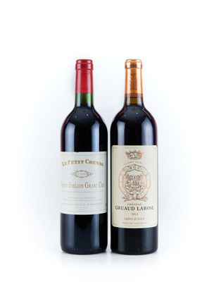 deux bouteilles de vin assises l'une à côté de l'autre