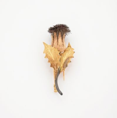un gros plan d'une fleur posée sur une surface blanche, avec un fond blanc