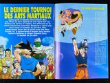 Photo 43/47 du lot