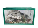 une boîte verte contenant des coquillages et des plantes