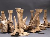 five vases that are made out of drift wood