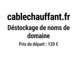 Photo 1/1 du lot