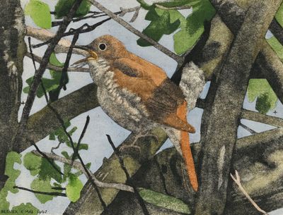 un tableau représentant un oiseau perché sur une branche d'arbre