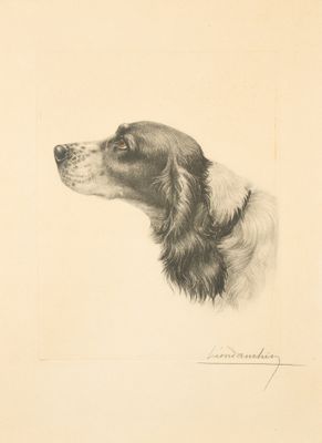 dessin représentant un chien noir et blanc portant un collier