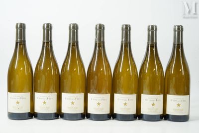 six bouteilles de vin sont alignées sur une surface blanche