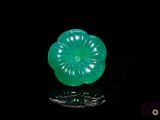an image of a green flower shaped object on a black surface