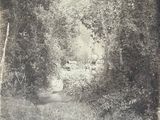 a black and white photo of an old photo of a wooded area
