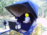 a small child sitting in a buggy with a smiley face on it