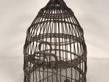 an old bird cage with a bird in it on a white background